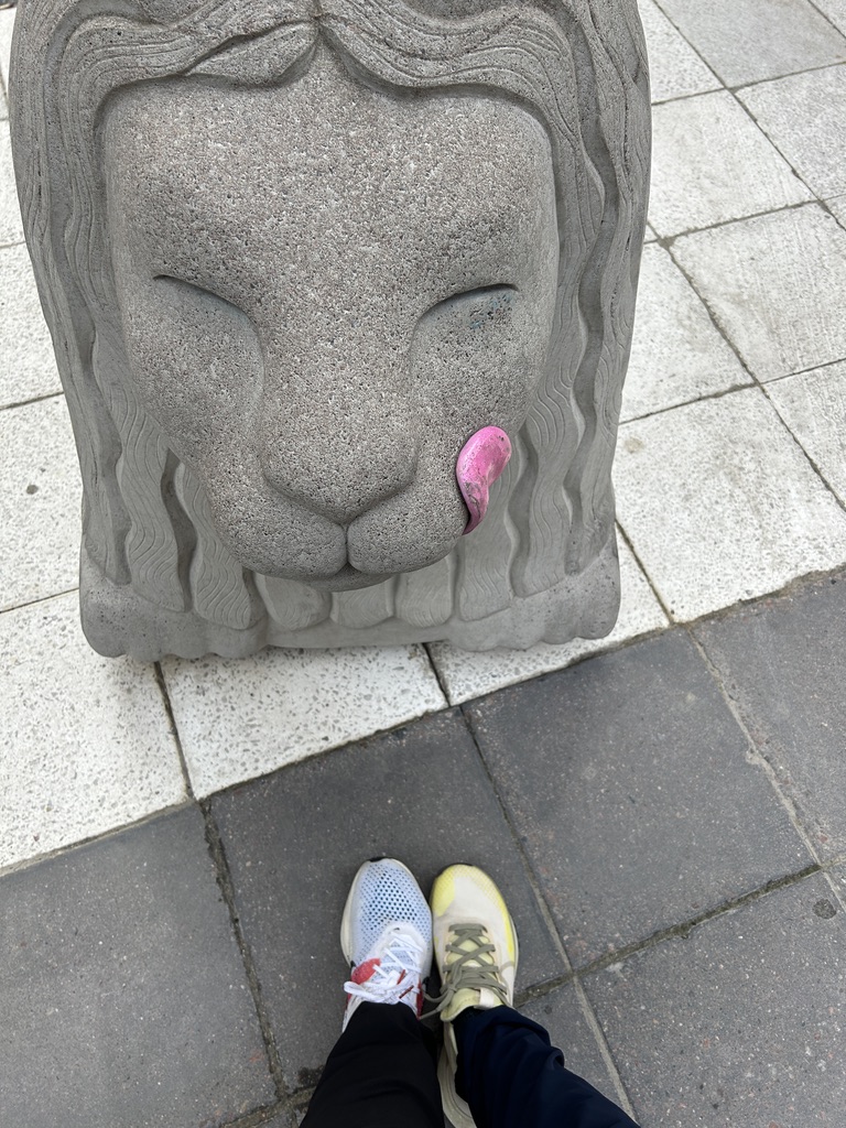 斯德哥尔摩之狮 (The Lions of Stockholm)