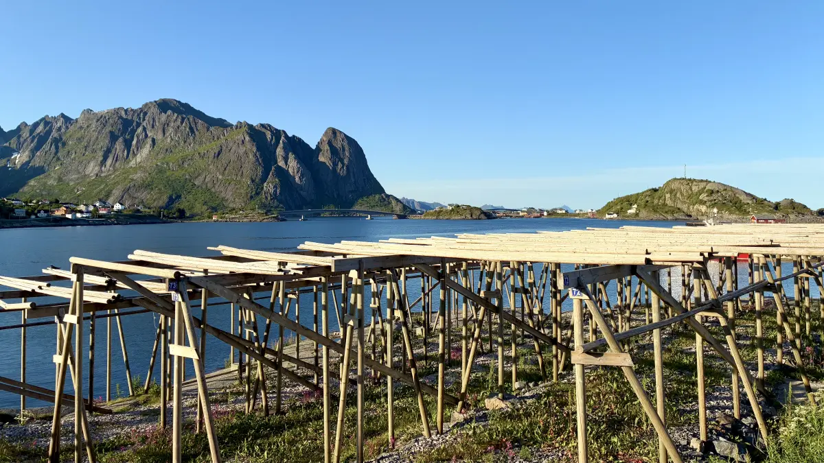 罗弗敦 (Lofoten) 的雷讷快艇码头 (Reine hurtigbåtkai) 附近的的鳕鱼干木架