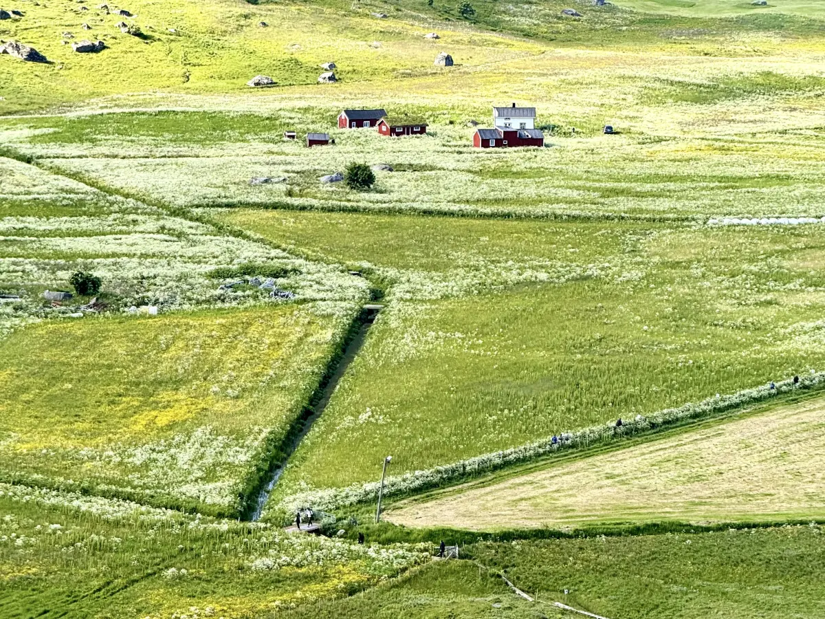 Innersand 的田园风光