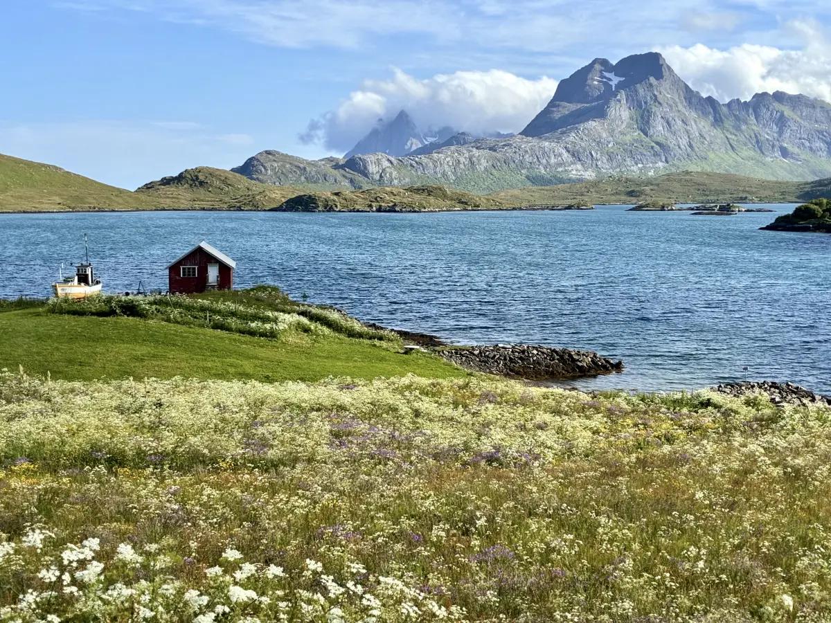 雷神托尔峡湾 (Torsfjorden)
