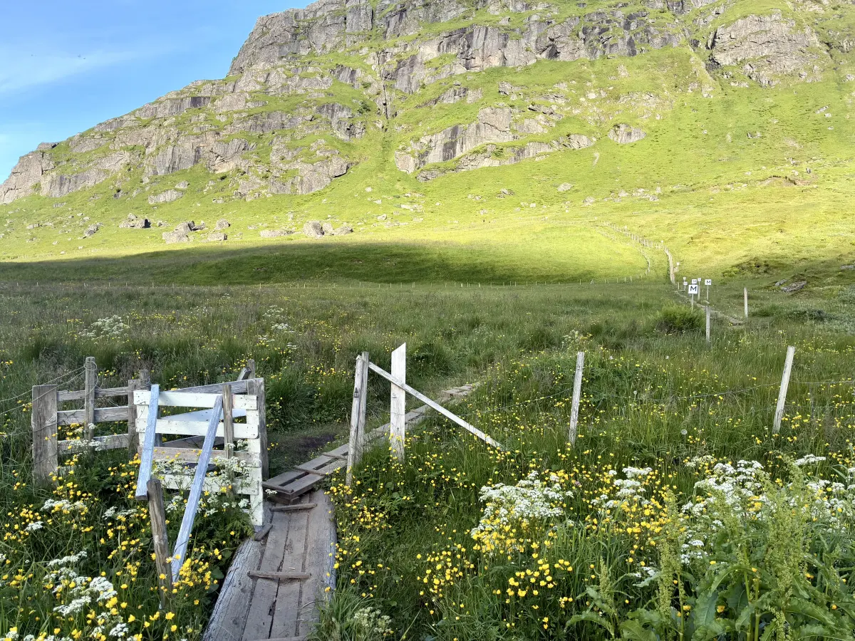 从 Innersand 到 Ryten 的第一段步道穿过田野