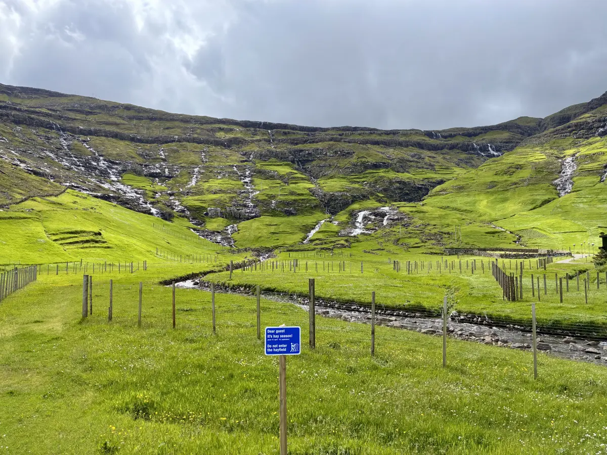 特约尔努维克 (Tjørnuvík) 干草季